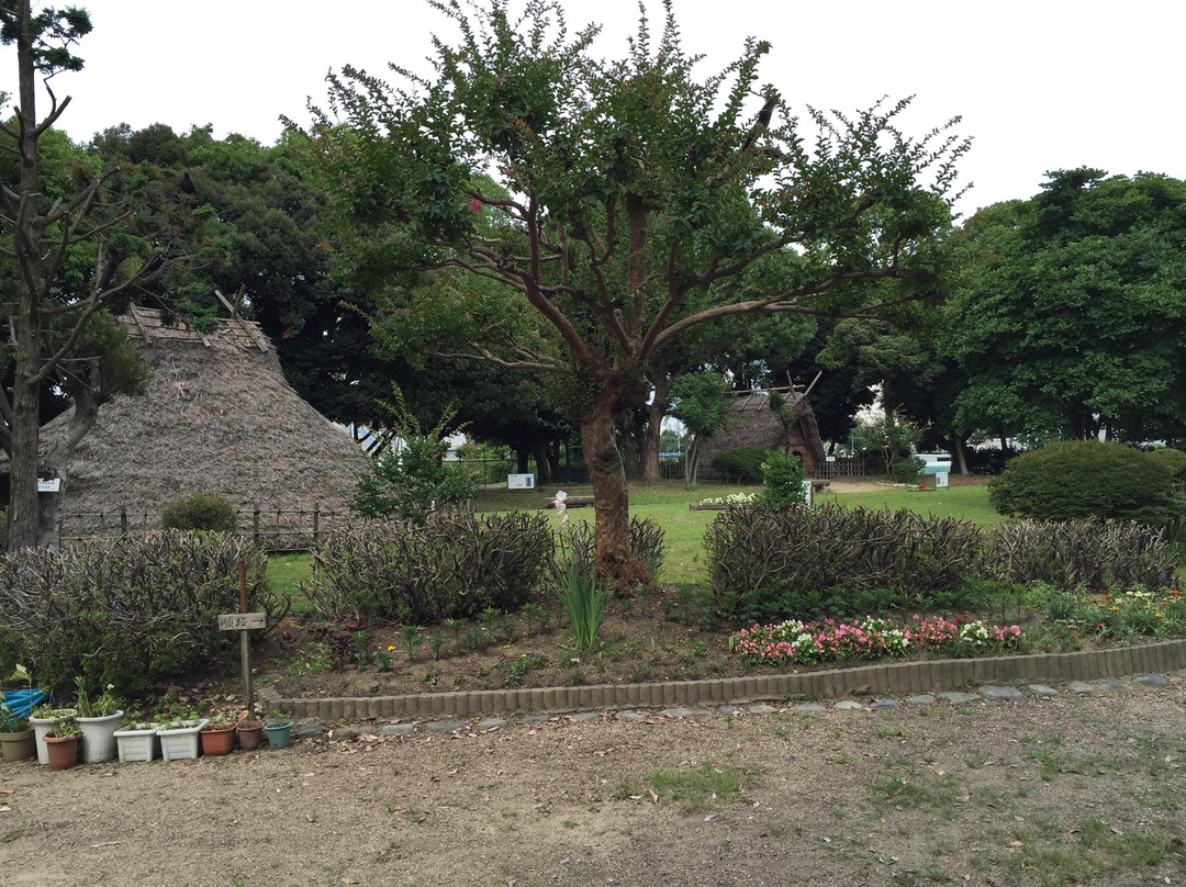 Tano Ruins-尼崎市必去景点