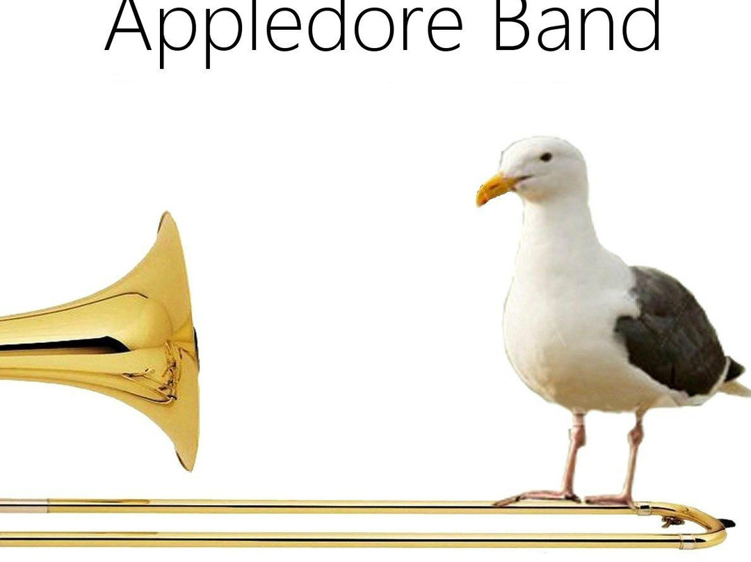 Appledore Band景点图片