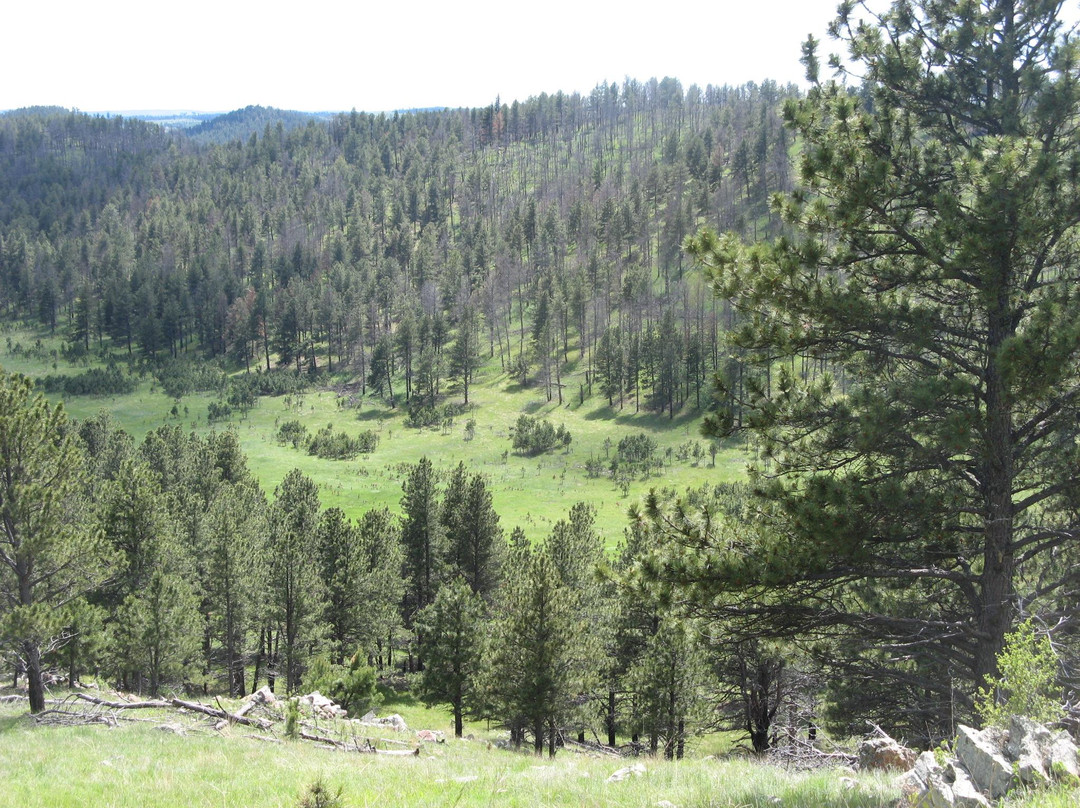 Rankin Ridge Nature Trail-Wind Cave National Park必去景点