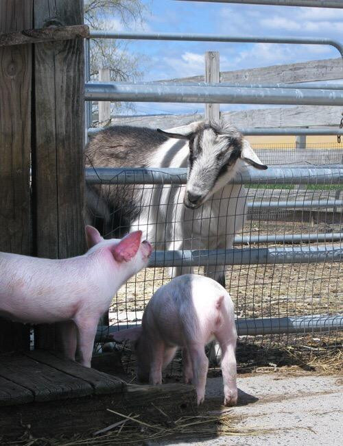 Kelder's Farm-Kerhonkson必去景点