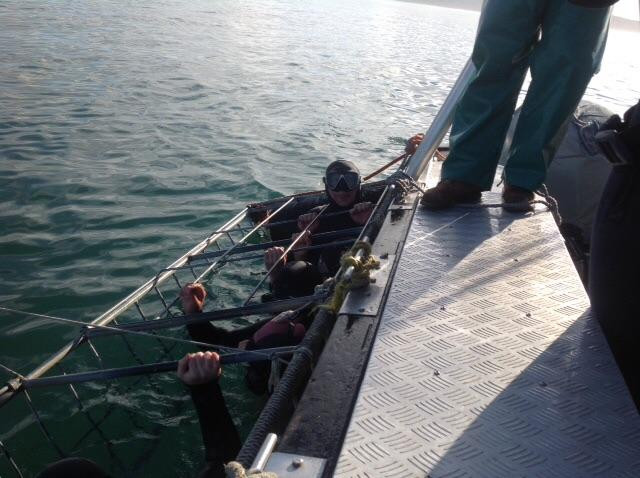 White Shark Projects-干斯拜必去景点