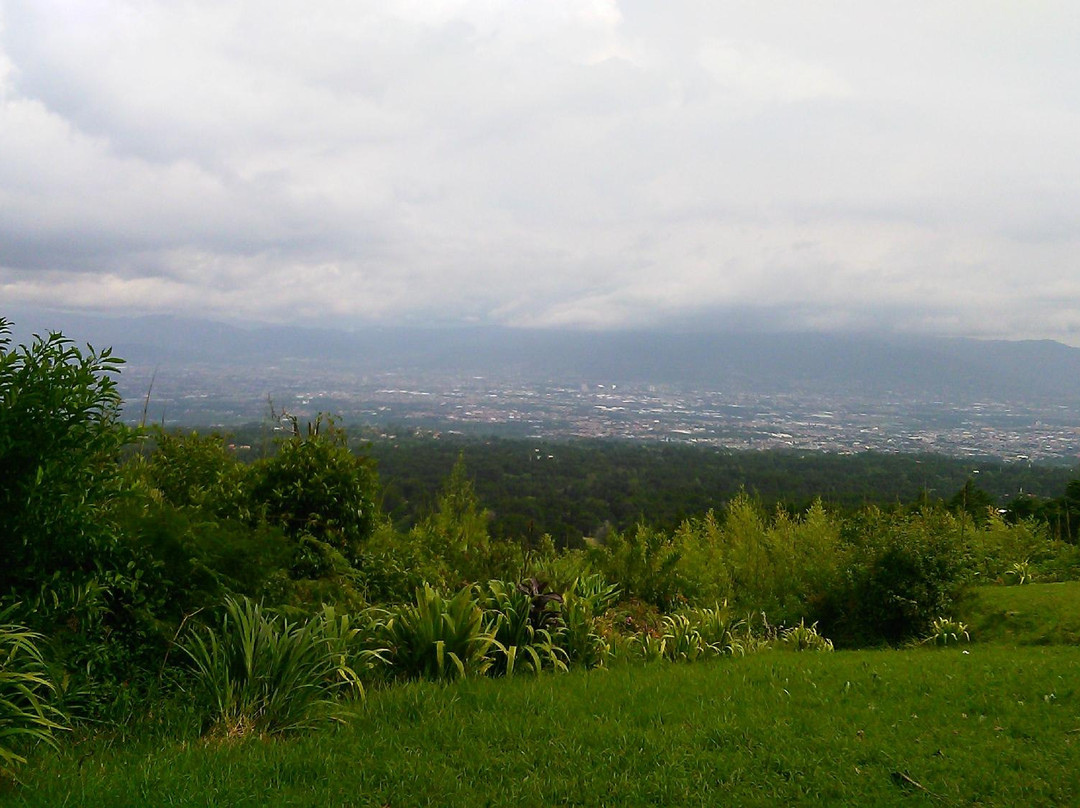Monte de la Cruz景点图片