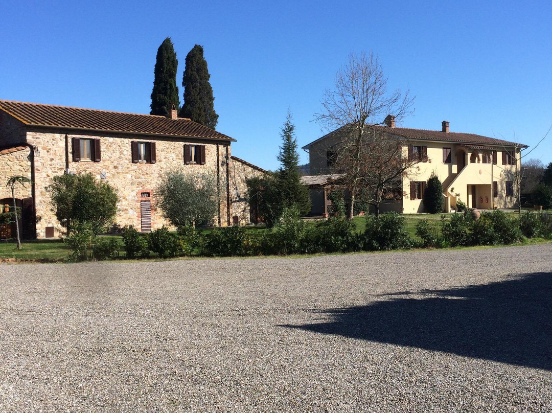 Le Vigne Di Caldana