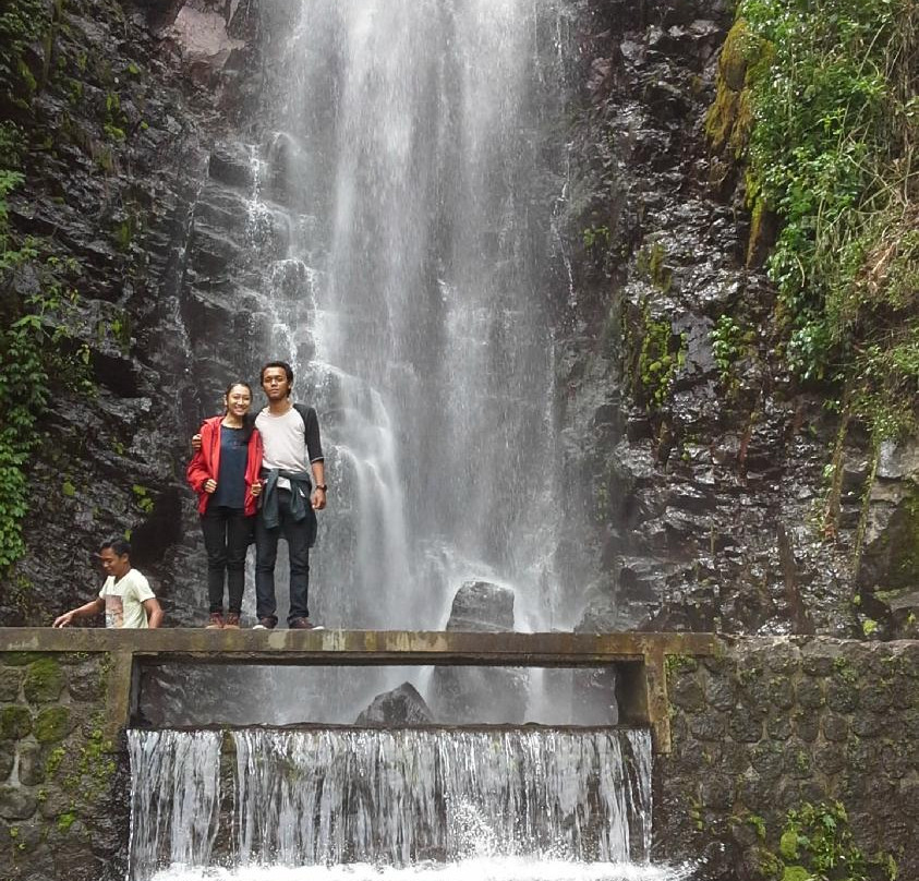 Ngadiloyo Waterfall景点图片