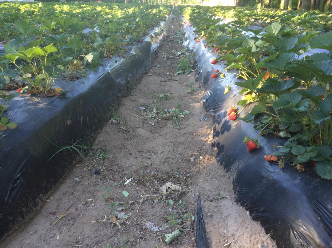 Chacra La Piedad-Plottier必去景点