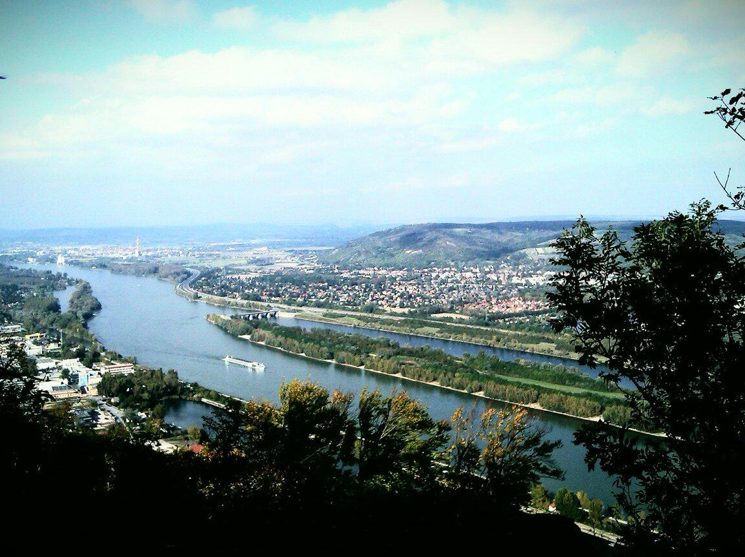 Burg Leopoldsberg-维也纳必去景点