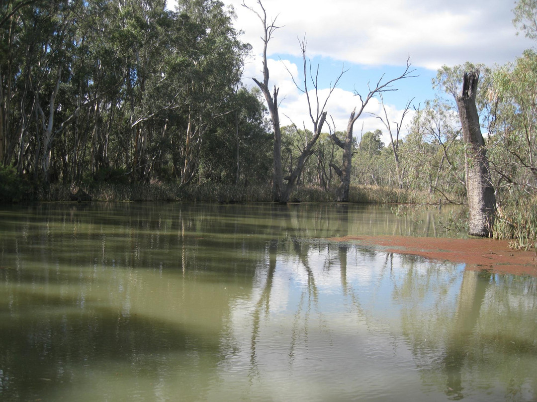 Pyramid Hill旅游景点-Gunbower National Park