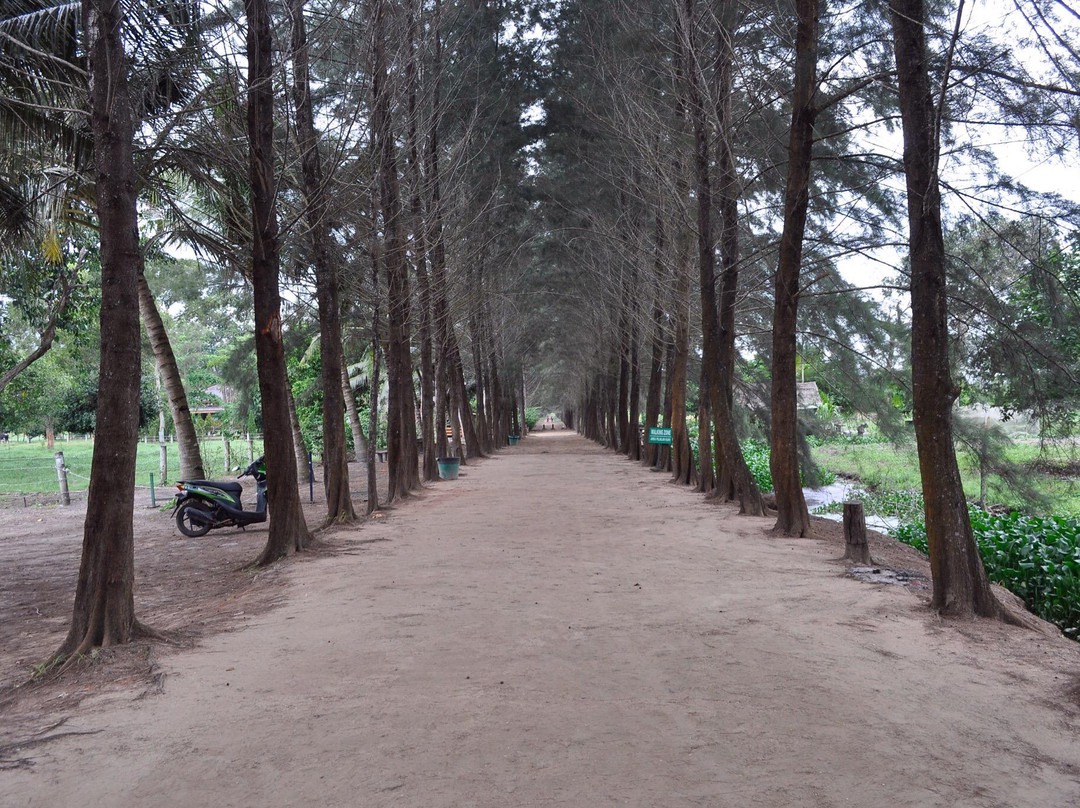 Bangka Botanical Garden (BBG)-Pangkal Pinang必去景点