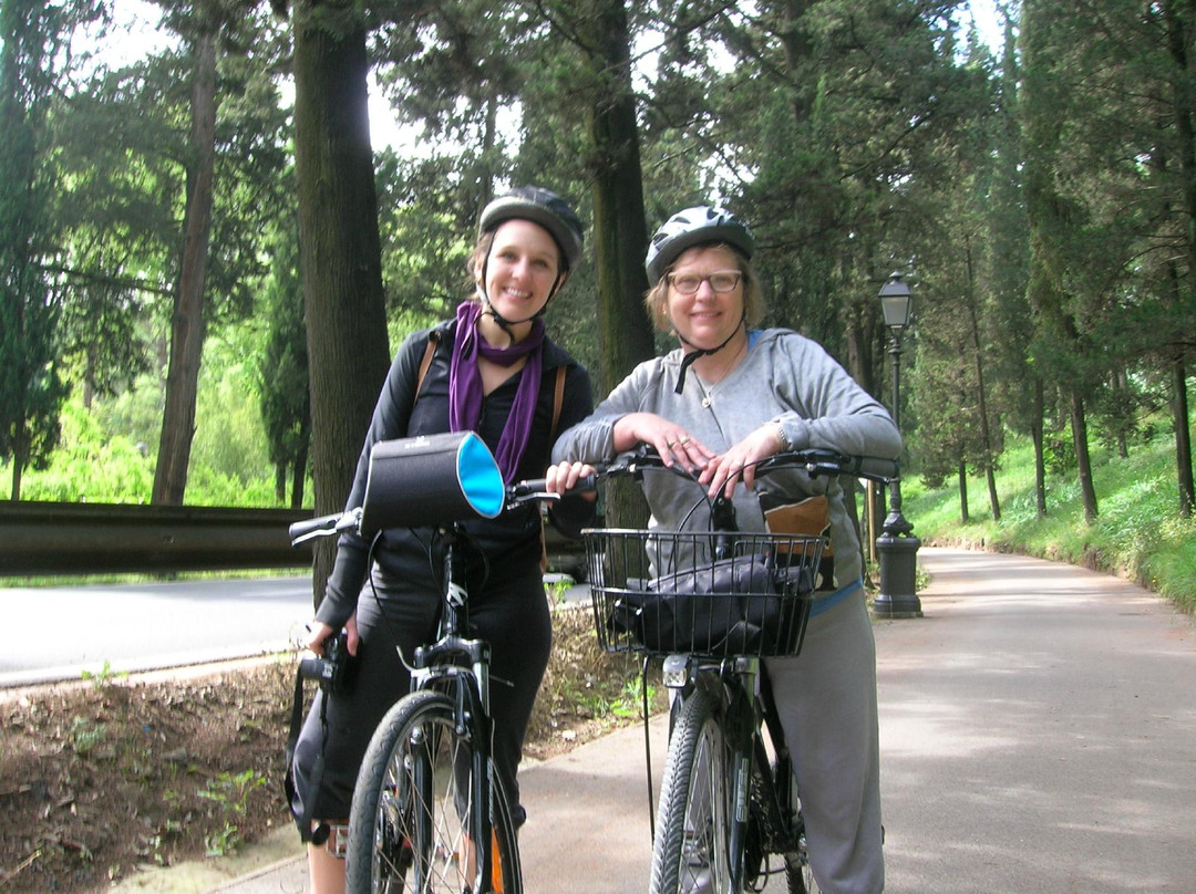 Cycling in Florence景点图片