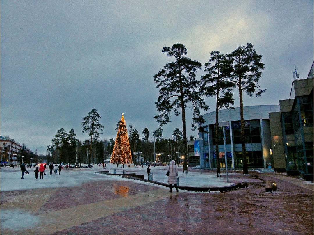 Arena Balashikha Ice Dome景点图片