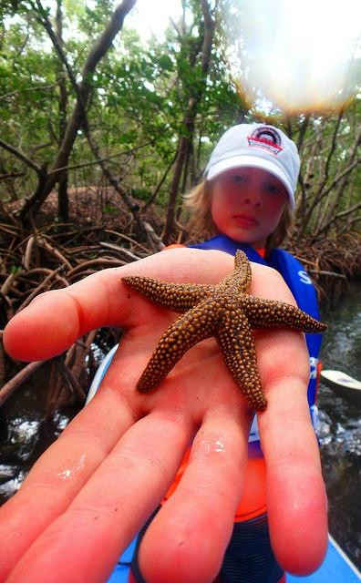 SURFit USA-Lido Key必去景点