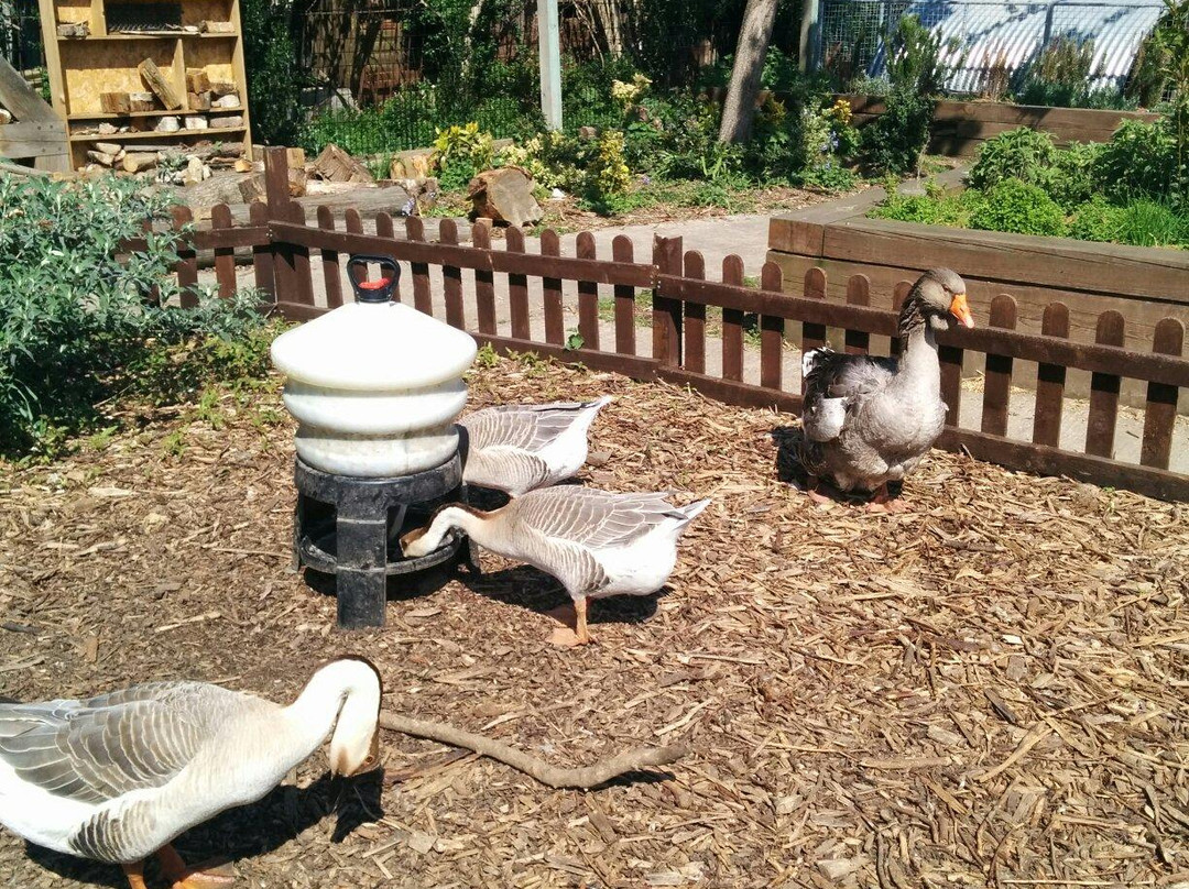 Brooks Farm-伦敦必去景点