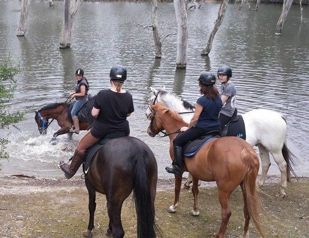 Nyroca Riding Centre景点图片