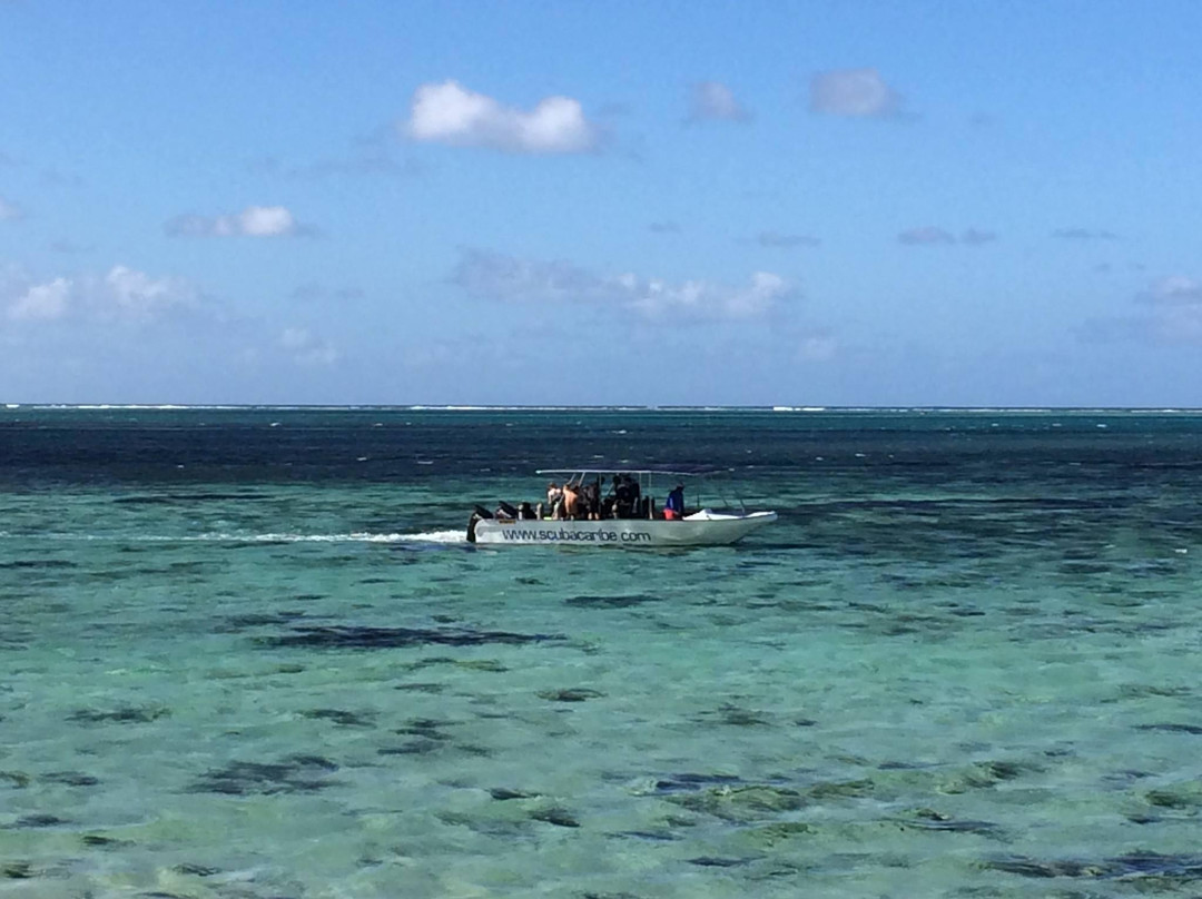 Scubacaribe Mauritius-莫纳山必去景点