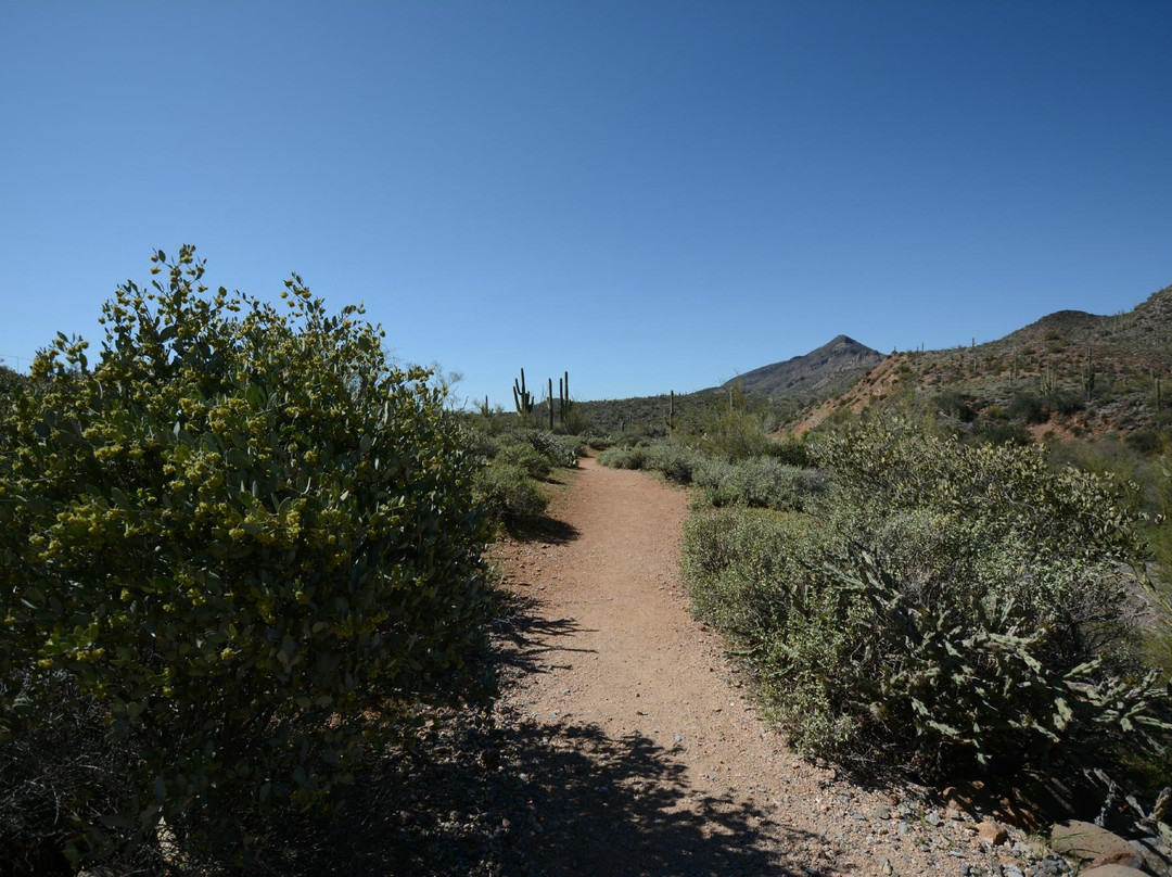 Spur Cross Ranch-洞溪必去景点