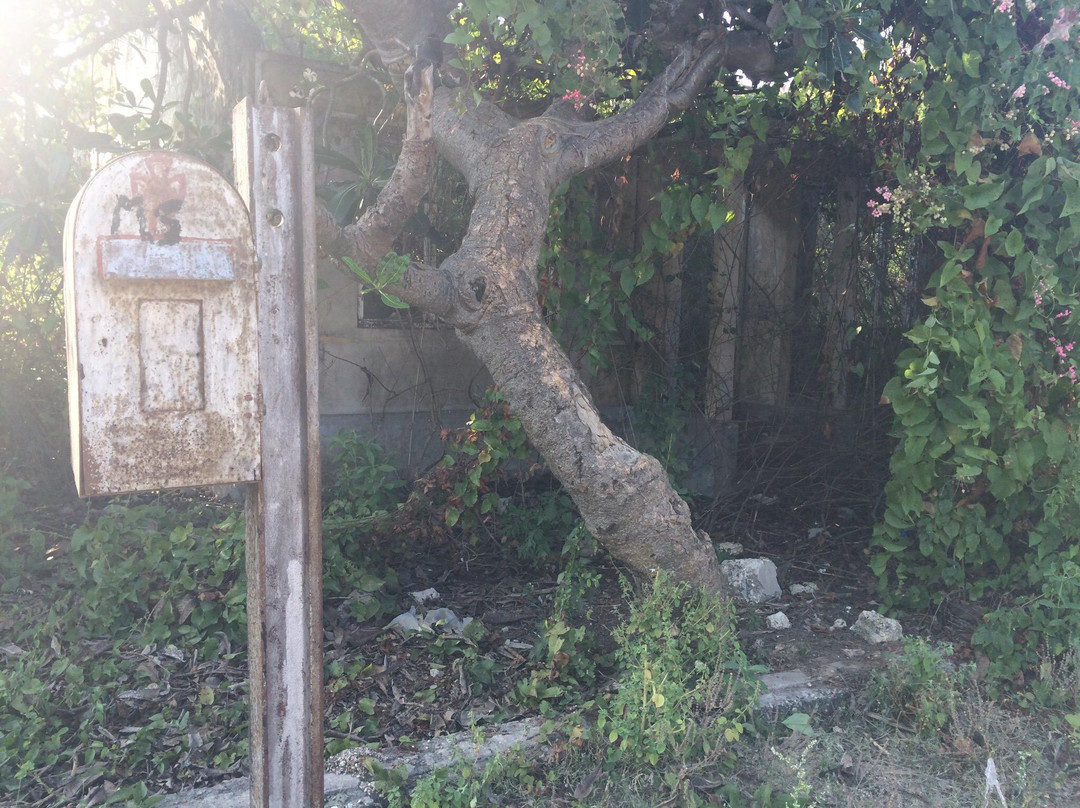Pennai Causeway-贾夫纳必去景点