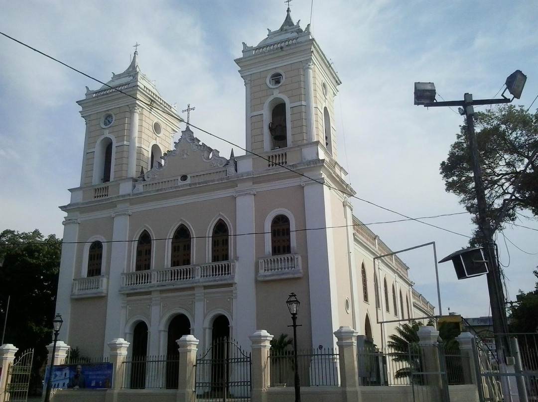 Catedral Metropolitana de Sant'Ana景点图片