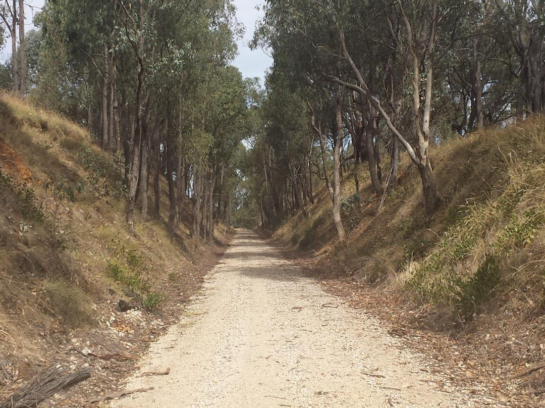 High Country Rail Trail-沃东加必去景点