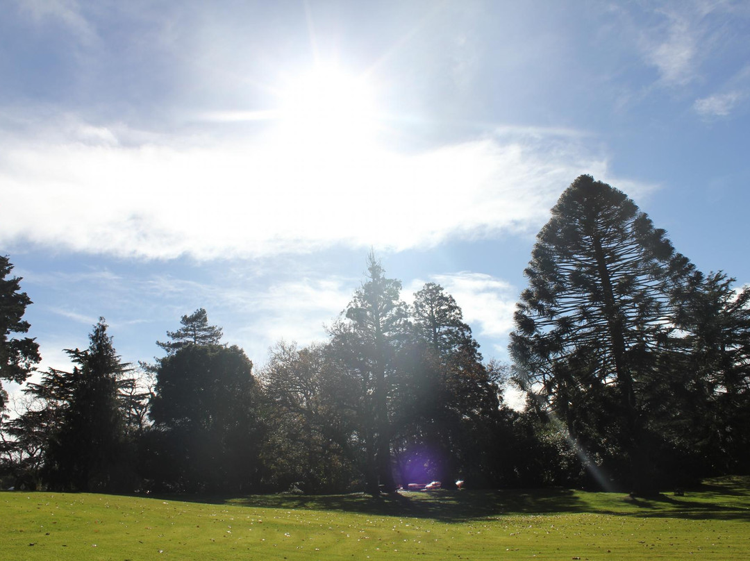 Hamilton Botanic Gardens-哈密尔顿必去景点