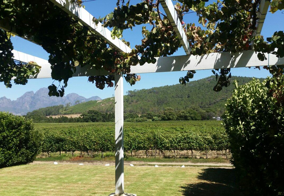 Lynx Wine-法兰舒克必去景点