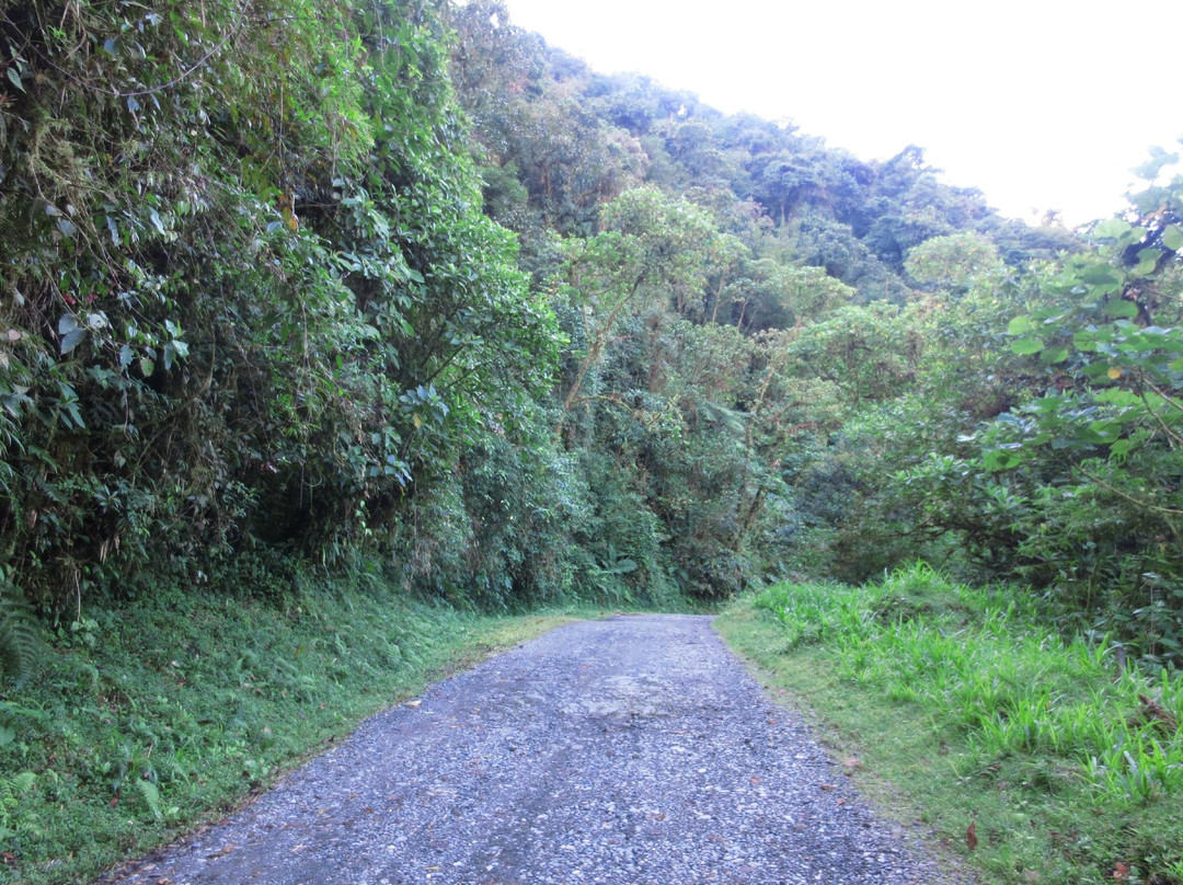 Mirador Trail-Cartago必去景点