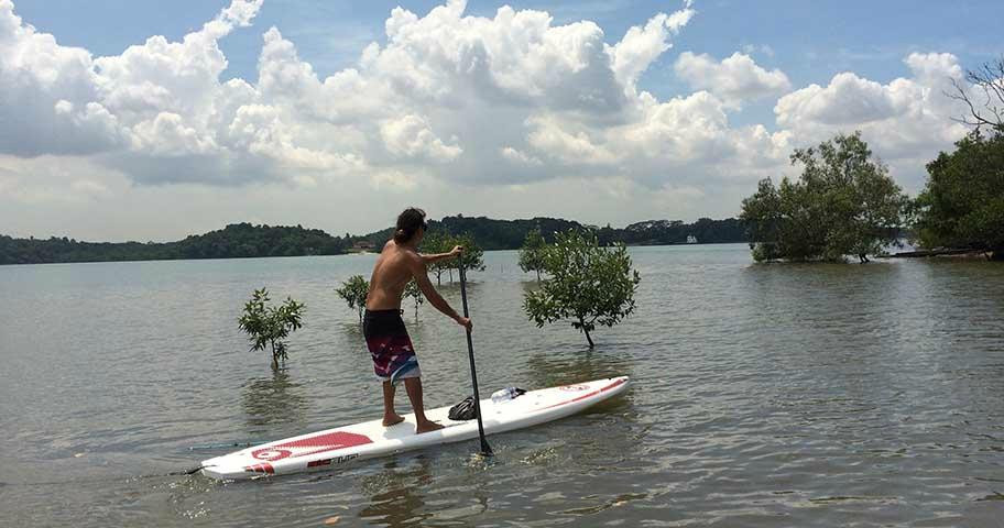 Coastal Paddle景点图片
