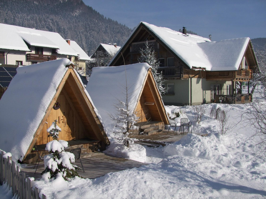 Apartmaji Cebelica
