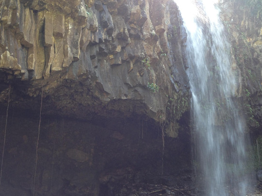 Maui Paradise Tours-海库必去景点