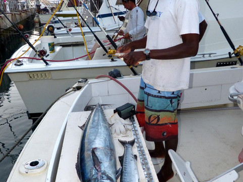 Legacy Fishing Charters-布里奇顿必去景点