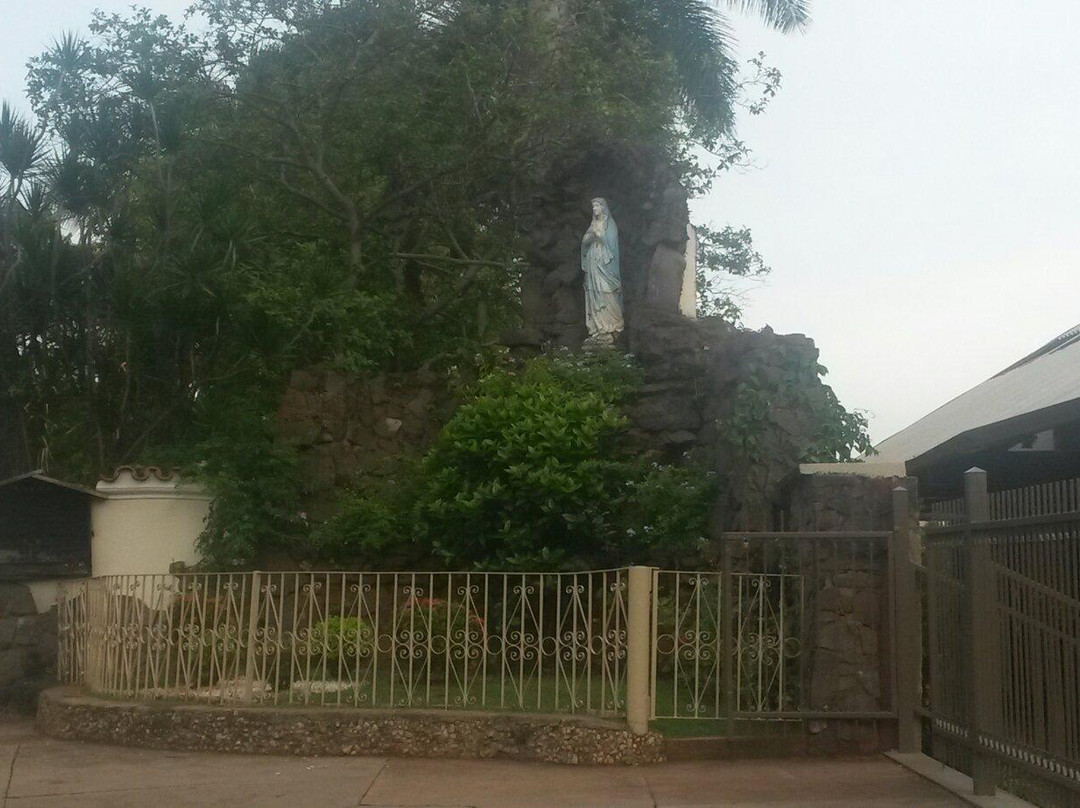Igreja São Francisco景点图片