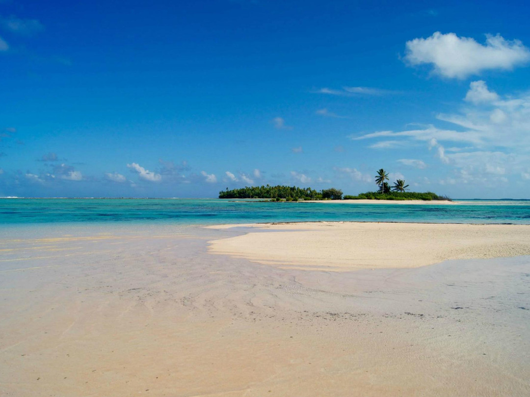 提克豪环礁酒店住宿-Pension Coconut Beach, Tikehau