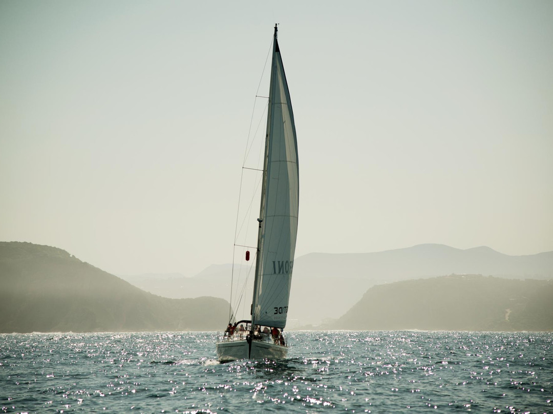 Springtide Sailing Charters景点图片