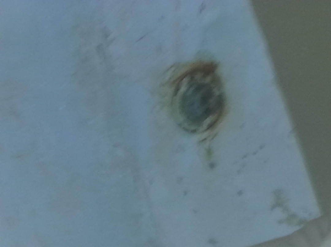 America's Best Inns and Suites Clarksville