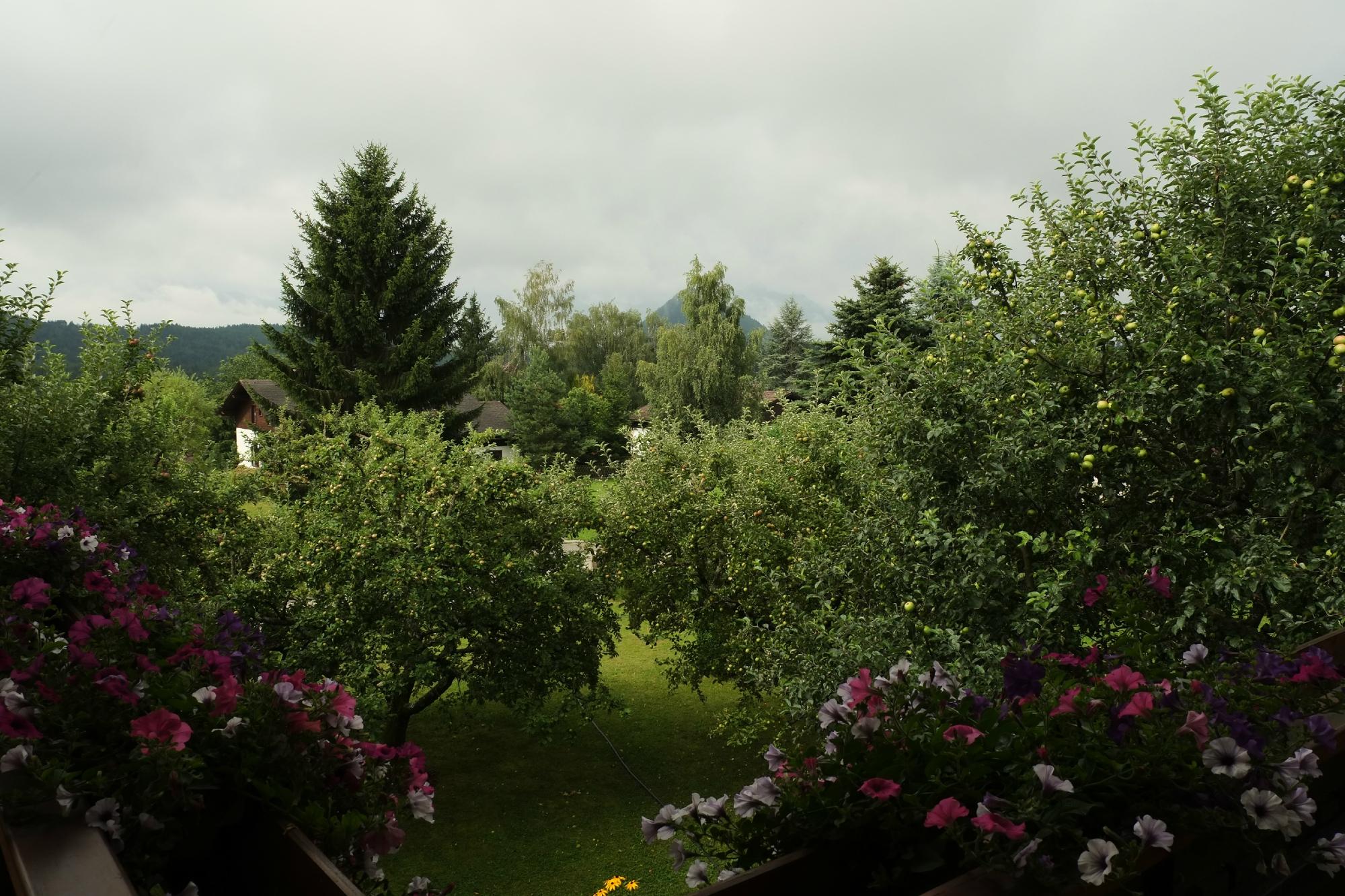 Pension Windinger-酒店景观