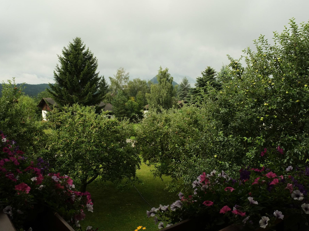 Pension Windinger主图