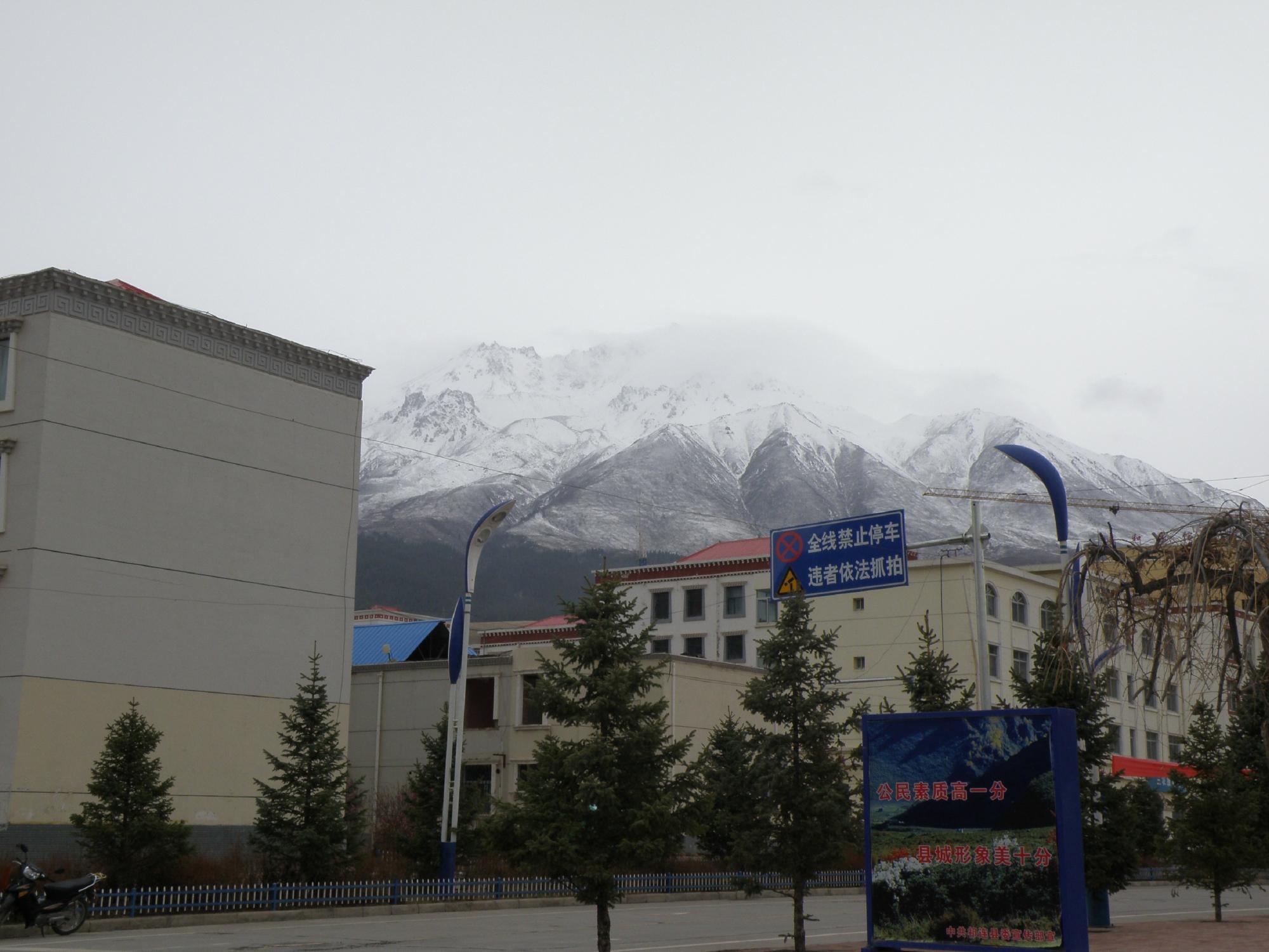 祁连大酒店-客卧