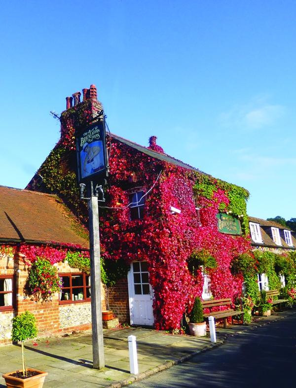 Bovingdon餐馆和美食-Bricklayers Arms