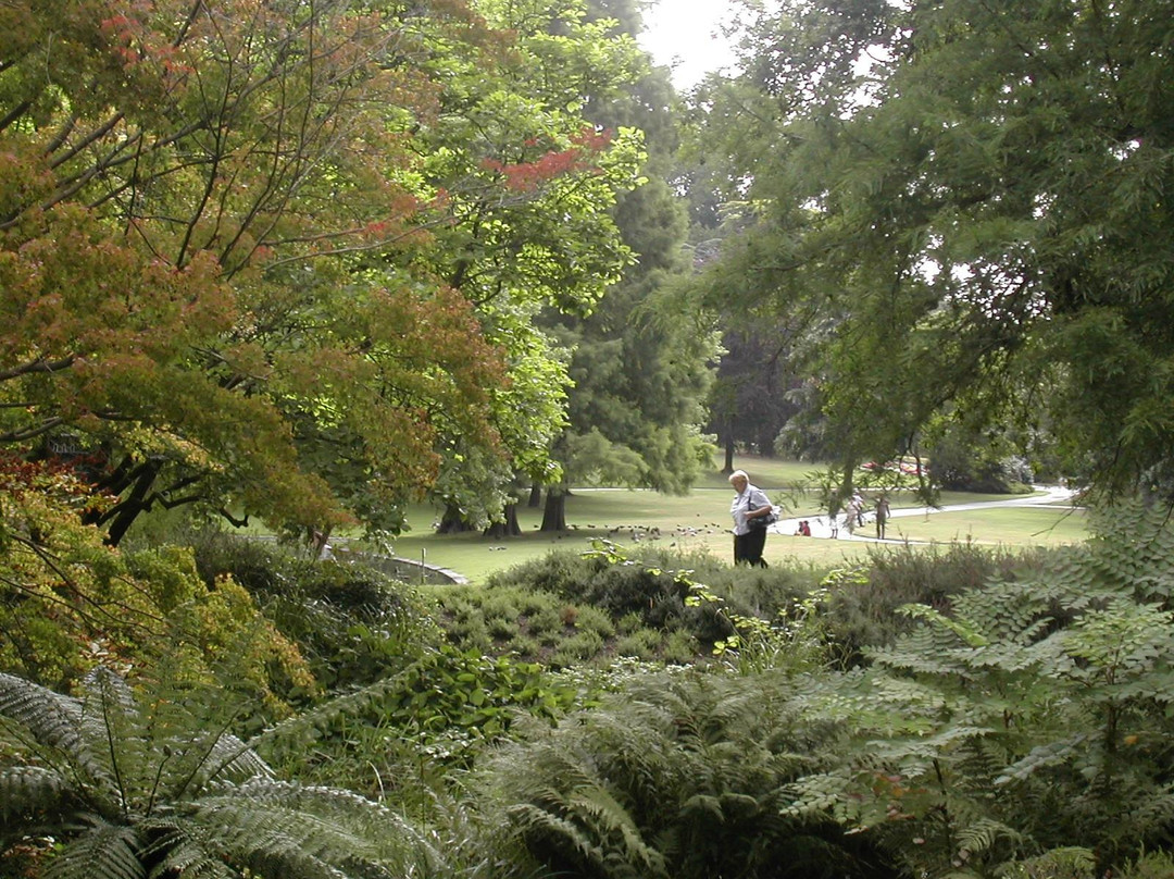 Parc de Procé景点图片