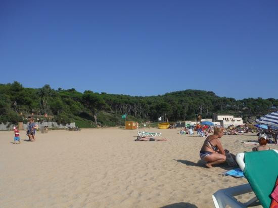 Platja de Castell景点图片