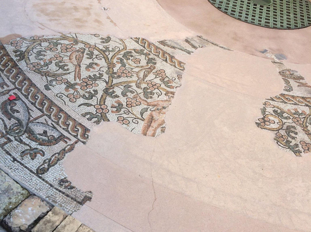 Mosaico Tardoantico-特雷维索必去景点