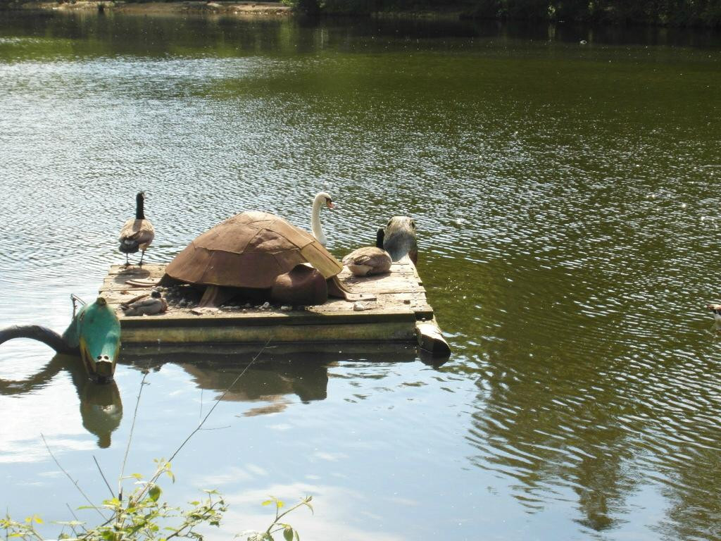 Wild- und Freizeitpark-Teublitz必去景点