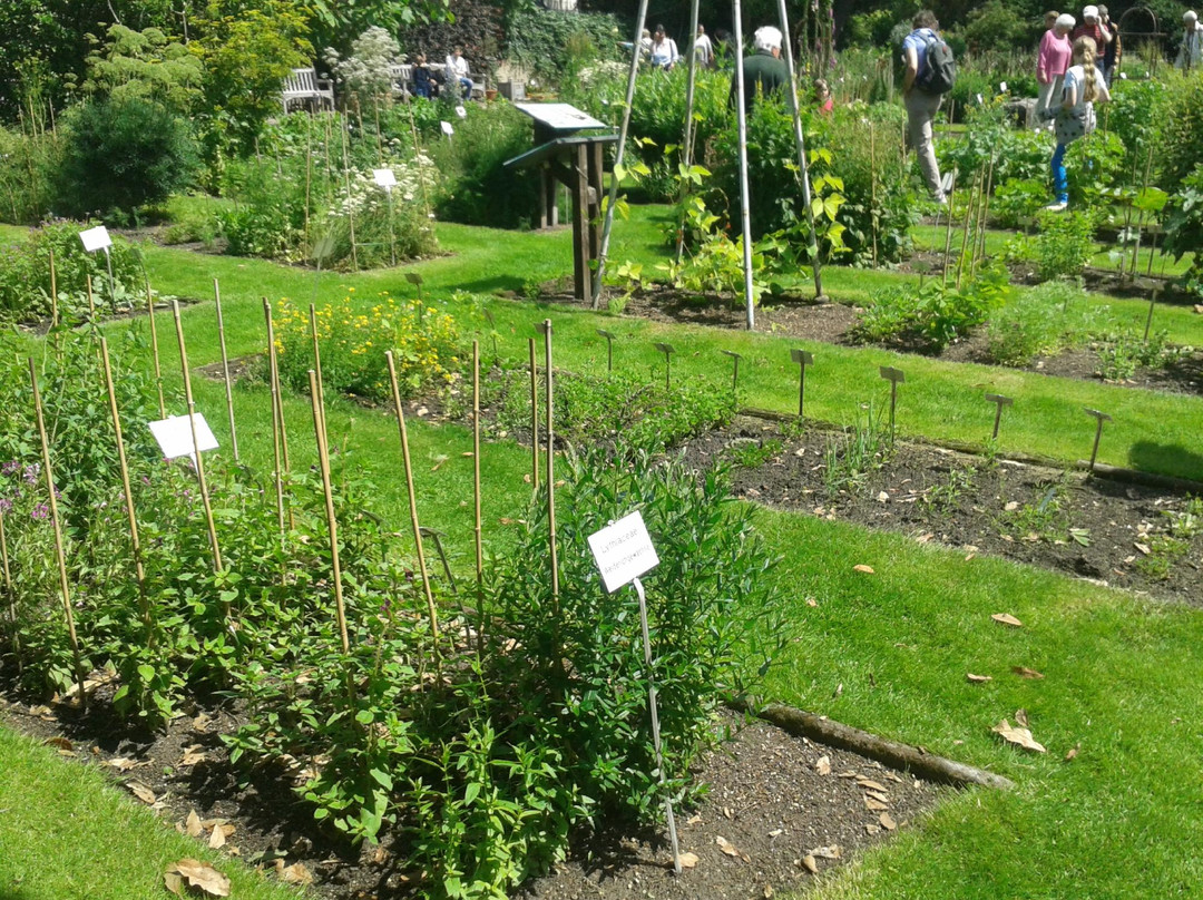 Botanischer Garten der Technischen Universitat Braunschweig景点图片