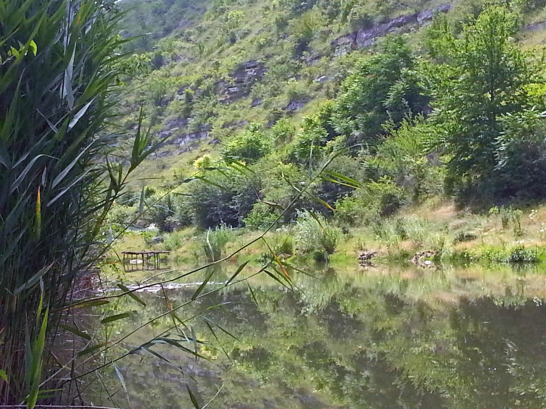 Agru Pensiunea主图