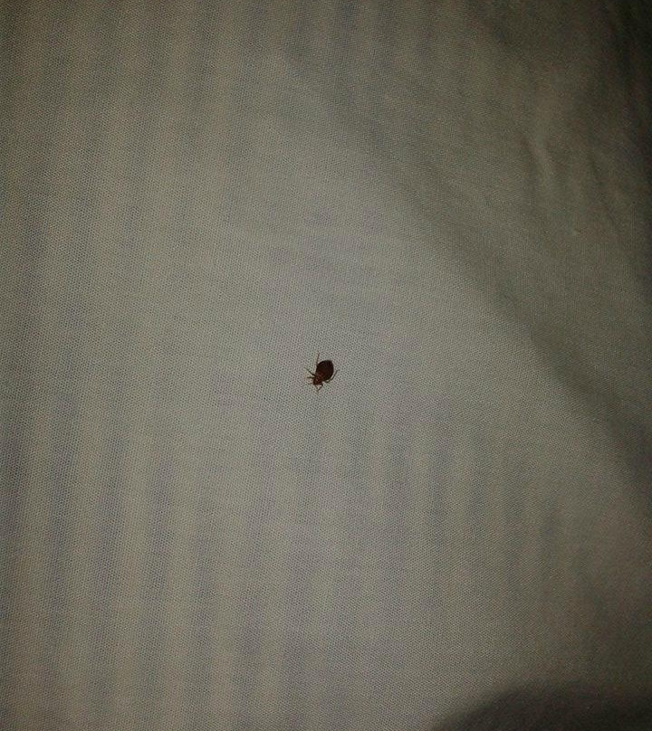 Geneva Riverside Lodging主图