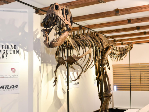 Etihad Modern Art Gallery-阿布扎比必去景点