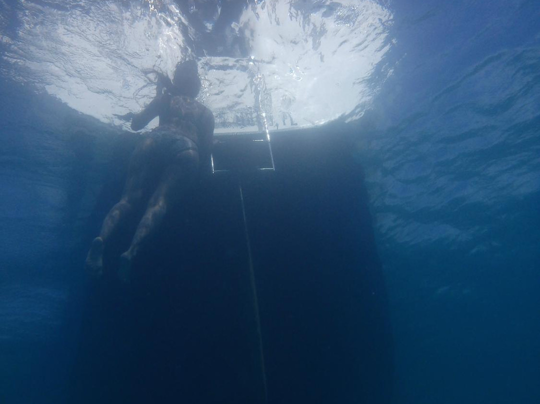 SailCaribe Yacht Charter-Ceiba必去景点