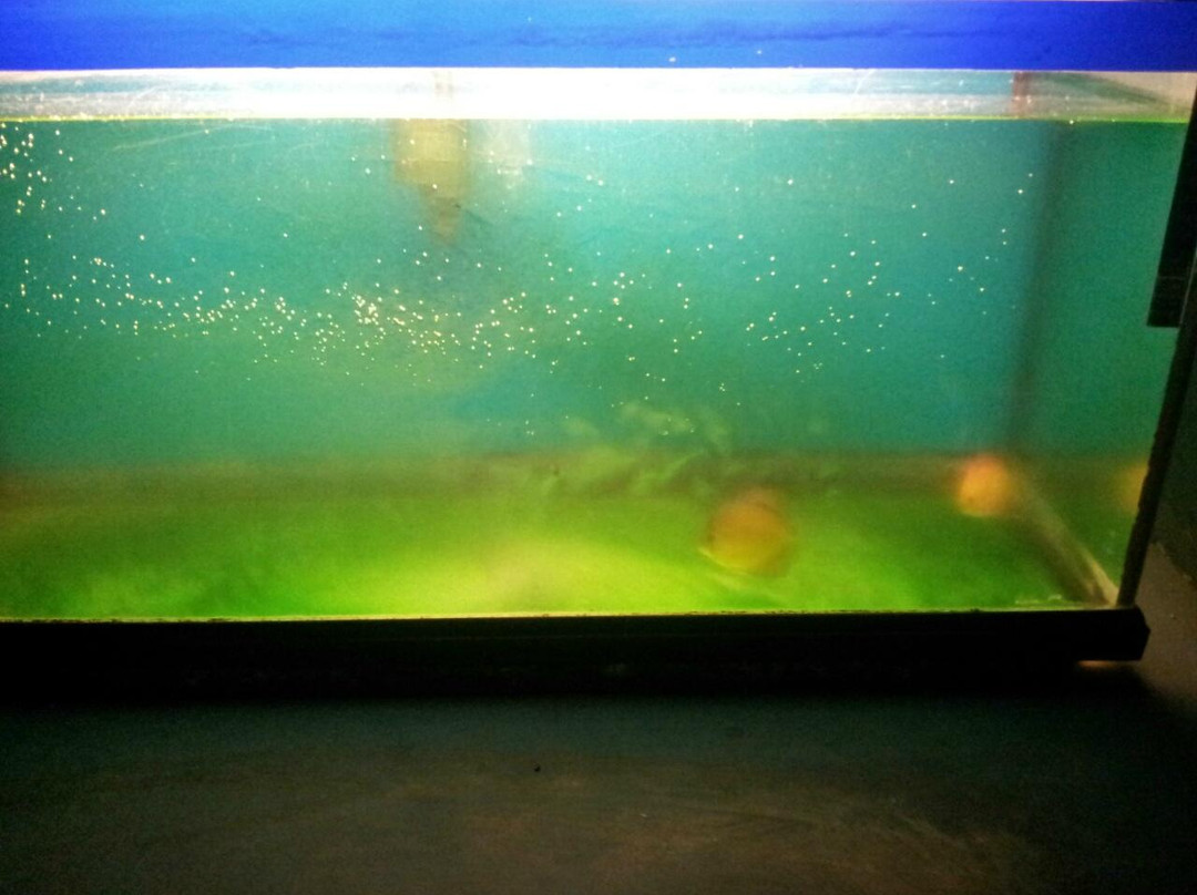 Matsyadarshini Aquarium-维沙哈巴南必去景点