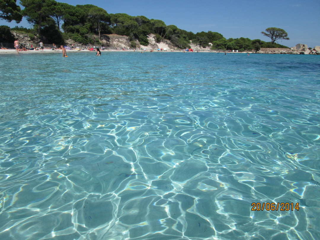 Plage de Tamaricciu-维琪奥港必去景点