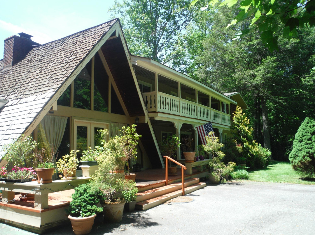 Candler酒店住宿-Rock Laurel Bed and Breakfast