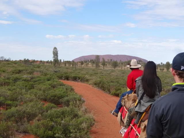 Uluru Camel Tours景点图片